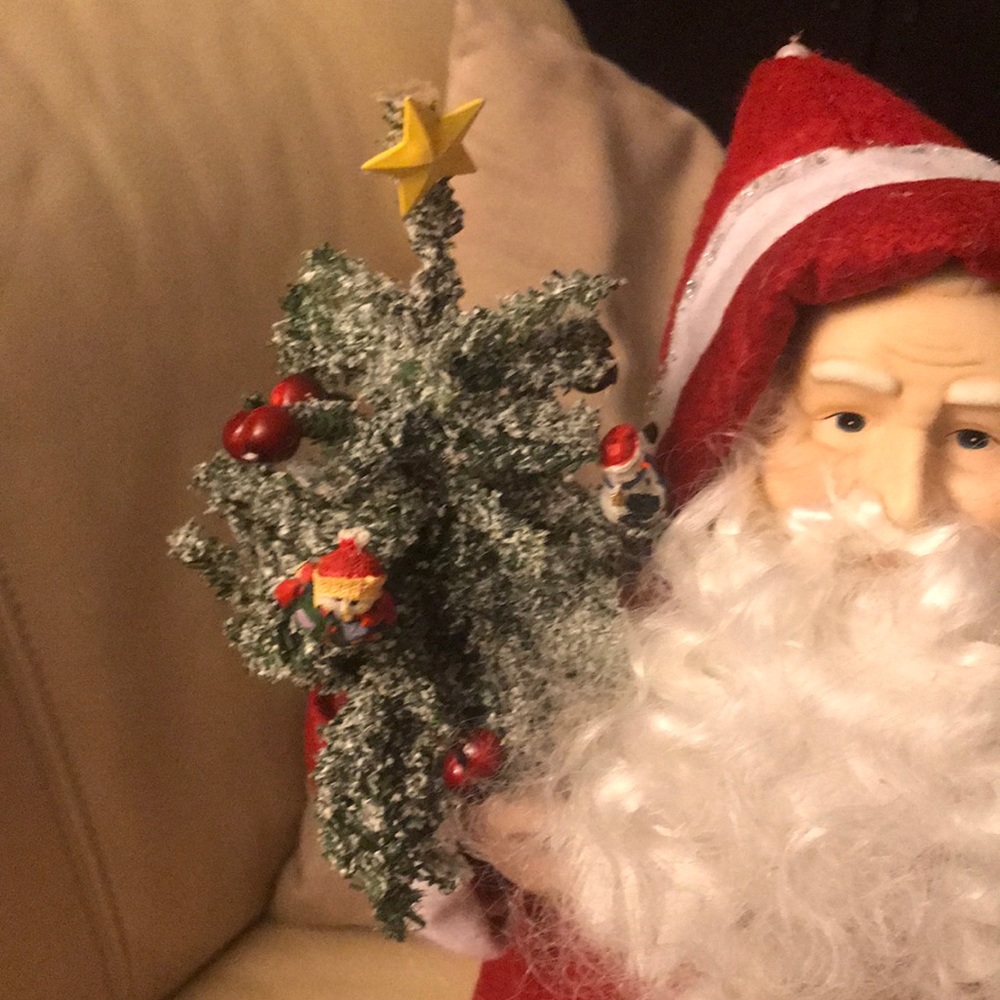 Santa Claus - Picture 3 of 8